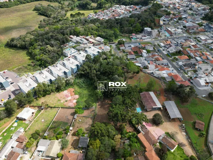 Terreno / Lote à venda, 2874m2 em Campina da Barra, Araucaria - PR - imagem 8 Foto 8 de Terreno / Lote à venda, 2874m2 em Campina da Barra, Araucaria - PR