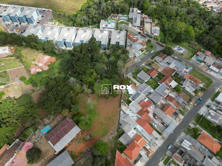 Terreno / Lote à venda, 2874m2 em Campina da Barra, Araucaria - PR - imagem 7 Foto 7 de Terreno / Lote à venda, 2874m2 em Campina da Barra, Araucaria - PR