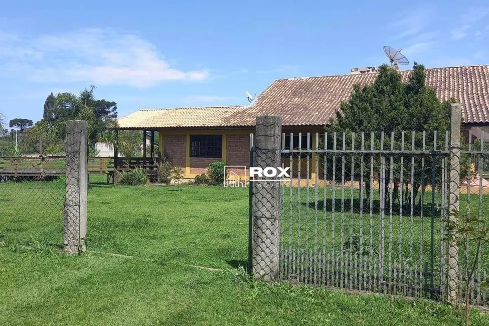 Chácara com 4 quartos à venda, 18868m2 em Contenda - PR - imagem 9 Foto 9 de Chácara com 4 quartos à venda, 18868m2 em Contenda - PR