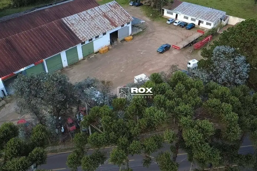 Armazém / Galpão à venda, 10500m2 em Braga, Sao Jose Dos Pinhais - PR - imagem 8 Foto 8 de Armazém / Galpão à venda, 10500m2 em Braga, Sao Jose Dos Pinhais - PR