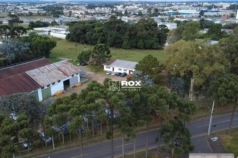 Armazém / Galpão à venda, 10500m2 em Braga, Sao Jose Dos Pinhais - PR - imagem 7 Foto 7 de Armazém / Galpão à venda, 10500m2 em Braga, Sao Jose Dos Pinhais - PR