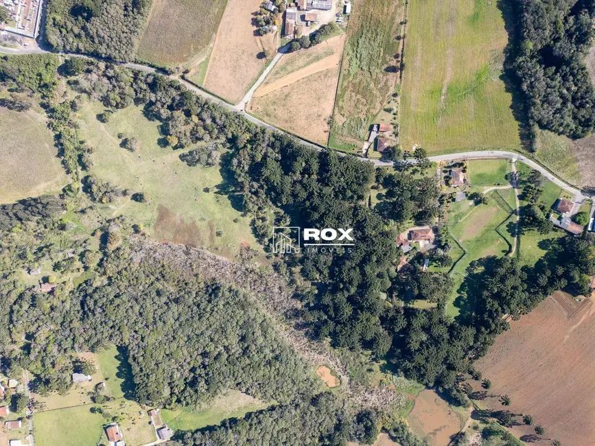 Foto 17 de Terreno / Lote à venda, 28835m2 em Zacarias, Sao Jose Dos Pinhais - PR