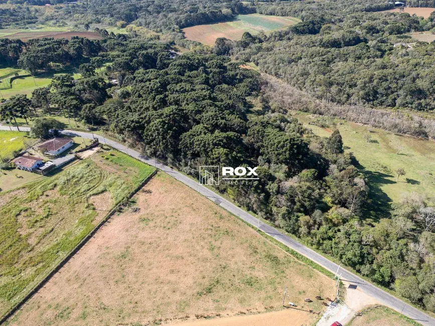 Terreno / Lote à venda, 28835m2 em Zacarias, Sao Jose Dos Pinhais - PR - imagem 4 Foto 4 de Terreno / Lote à venda, 28835m2 em Zacarias, Sao Jose Dos Pinhais - PR