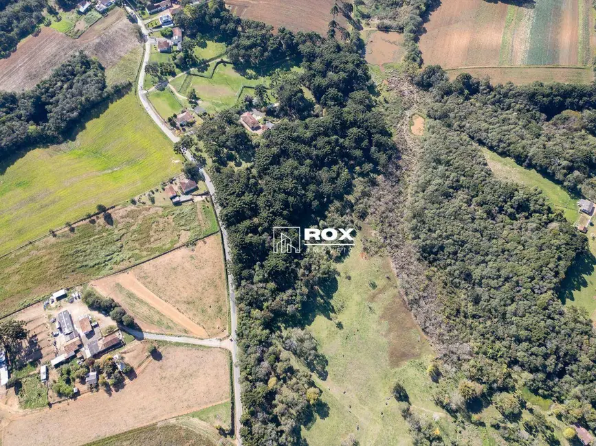 Foto 15 de Terreno / Lote à venda, 28835m2 em Zacarias, Sao Jose Dos Pinhais - PR
