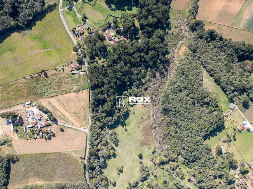 Foto 16 de Terreno / Lote à venda, 28835m2 em Zacarias, Sao Jose Dos Pinhais - PR