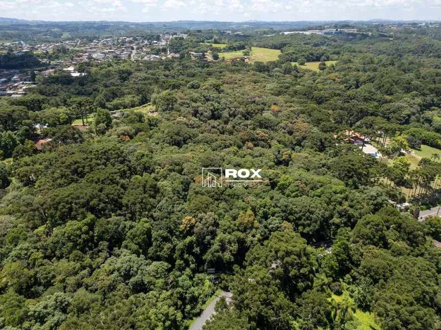 Foto 2 de Terreno / Lote à venda, 66589m2 em Ferraria, Campo Largo - PR