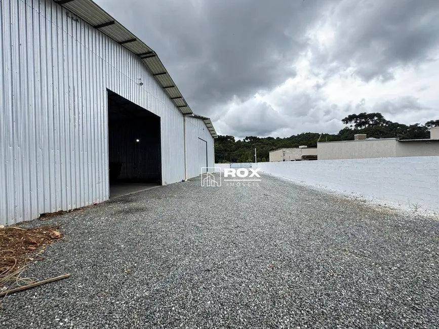 Foto 9 de Armazém / Galpão para alugar, 420m2 em Butiatuvinha, Curitiba - PR