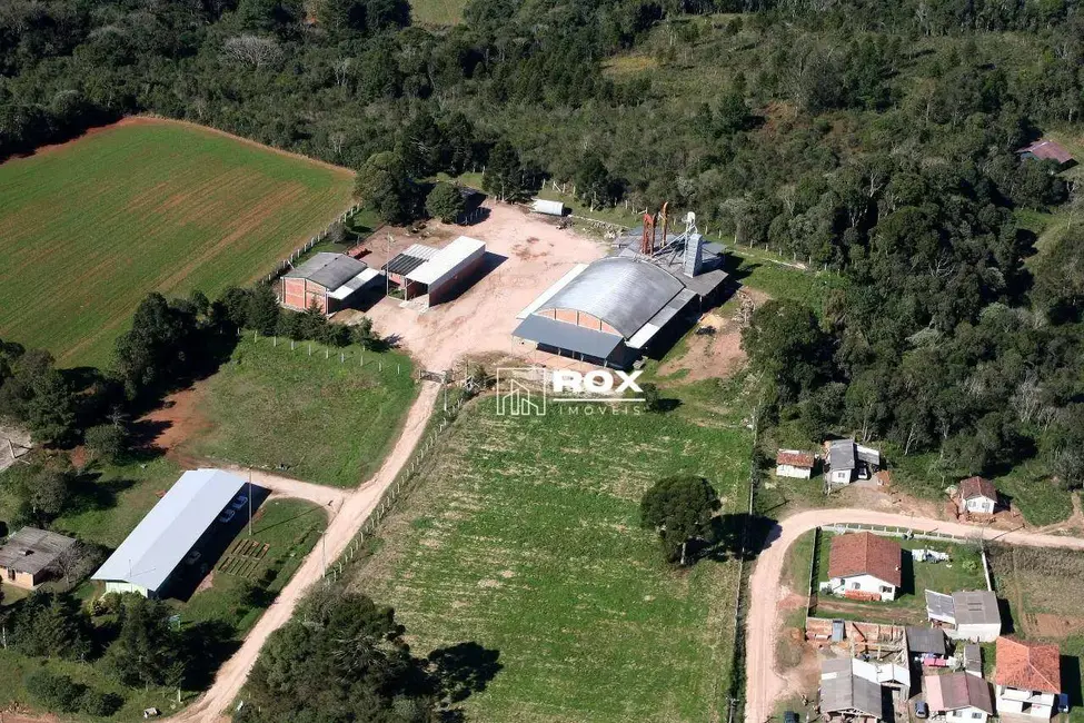Armazém / Galpão para alugar, 16000m2 em Tijucas Do Sul - PR - imagem 3 Foto 3 de Armazém / Galpão para alugar, 16000m2 em Tijucas Do Sul - PR