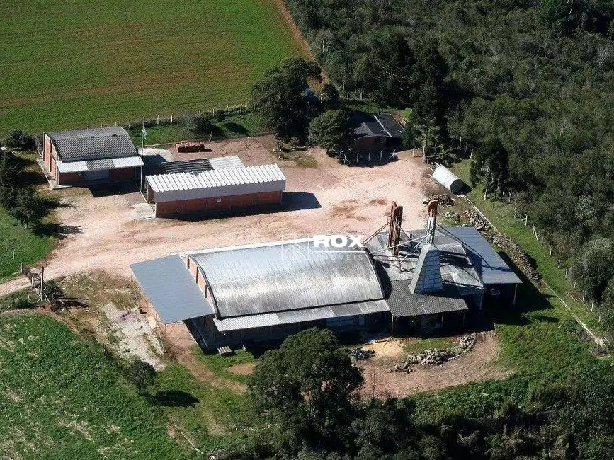 Armazém / Galpão para alugar, 16000m2 em Tijucas Do Sul - PR - imagem 8 Foto 8 de Armazém / Galpão para alugar, 16000m2 em Tijucas Do Sul - PR
