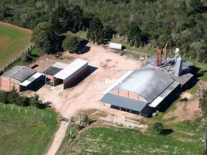 Armazém / Galpão para alugar, 16000m2 em Tijucas Do Sul - PR - imagem 9 Foto 9 de Armazém / Galpão para alugar, 16000m2 em Tijucas Do Sul - PR