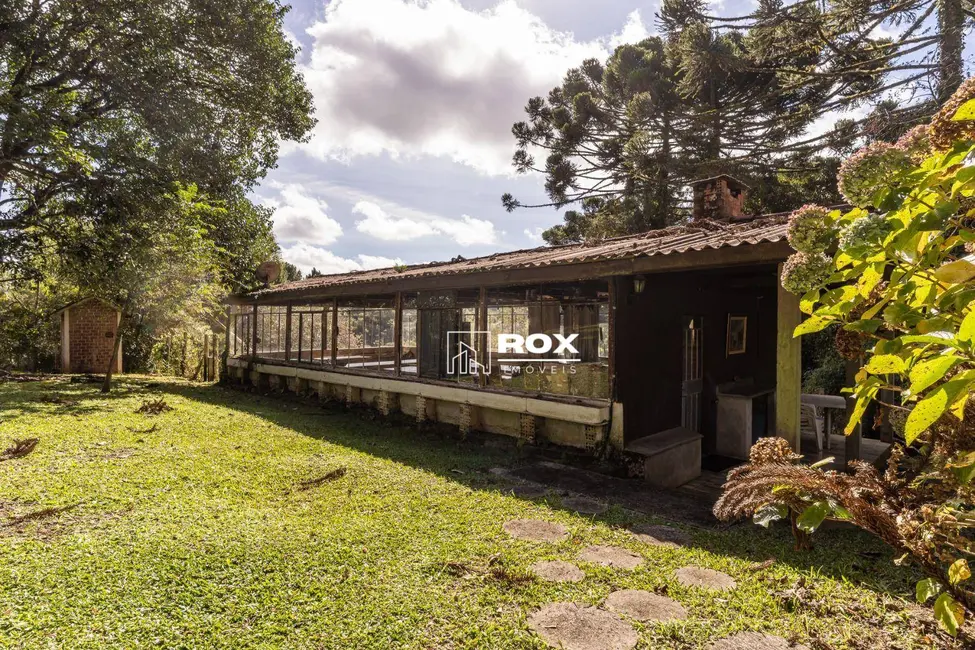 Chácara com 4 quartos à venda, 51000m2 em Área Rural de São José dos Pinhais, Sao Jose Dos Pinhais - PR - imagem 8 Foto 8 de Chácara com 4 quartos à venda, 51000m2 em Área Rural de São José dos Pinhais, Sao Jose Dos Pinhais - PR