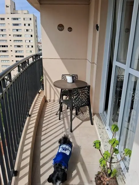 Apartamento com 3 quartos à venda, 84m2 em Tatuapé, São Paulo - SP - imagem 4 Foto 4 de Apartamento com 3 quartos à venda, 84m2 em Tatuapé, São Paulo - SP