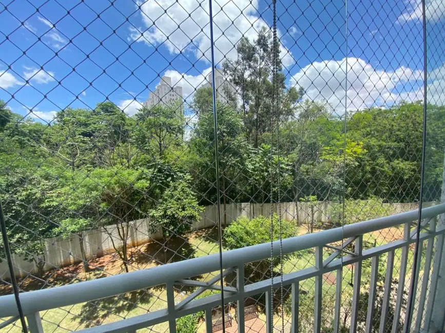 Foto 4 de Apartamento com 2 quartos para alugar, 55m2 em Vila Moreira, São Paulo - SP