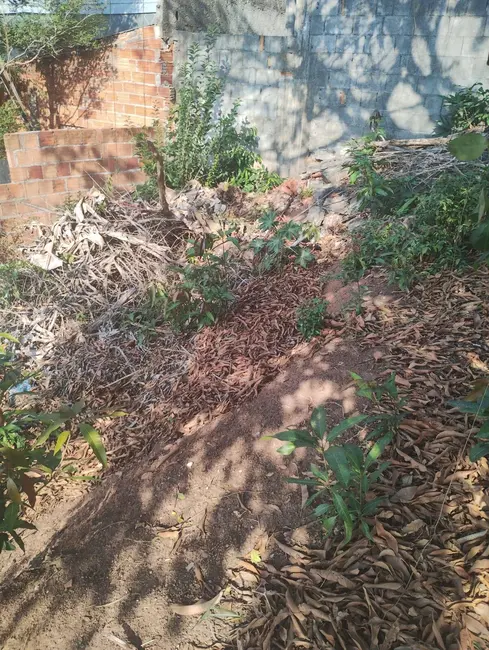 Terreno / Lote à venda em Jaguaré, São Paulo - SP - imagem 6 Foto 6 de Terreno / Lote à venda em Jaguaré, São Paulo - SP