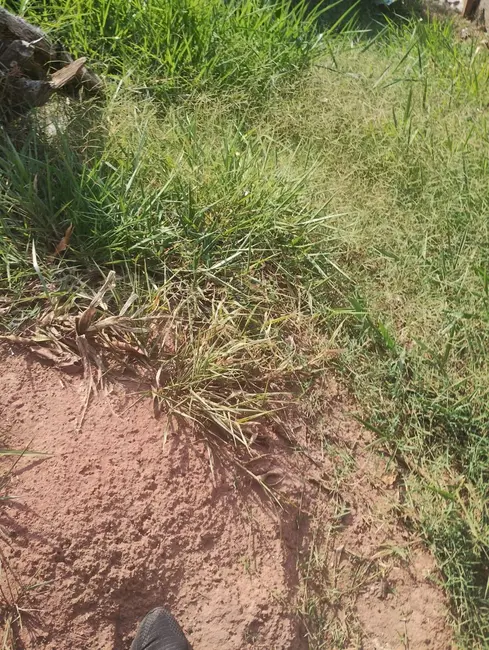 Terreno / Lote à venda em Jaguaré, São Paulo - SP - imagem 7 Foto 7 de Terreno / Lote à venda em Jaguaré, São Paulo - SP