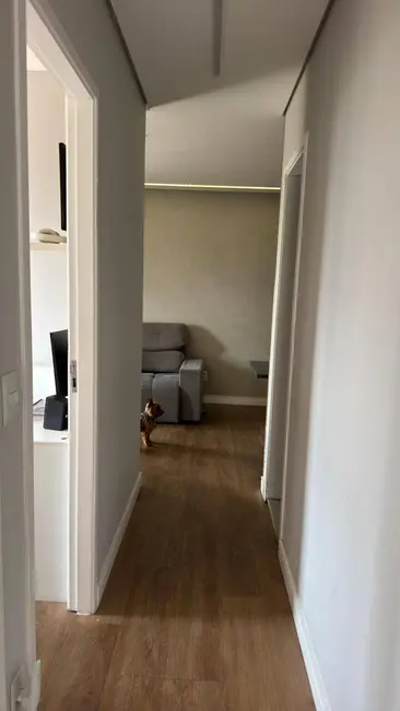 Foto 5 de Apartamento com 3 quartos à venda em Umuarama, Osasco - SP
