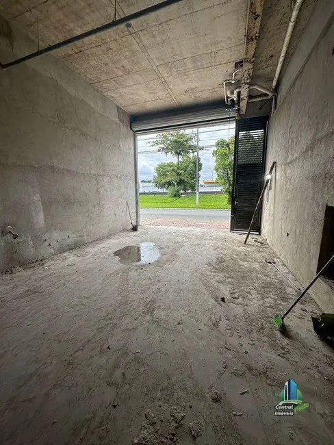 Foto 4 de Armazém / Galpão para alugar, 200m2 em Praia Grande - SP