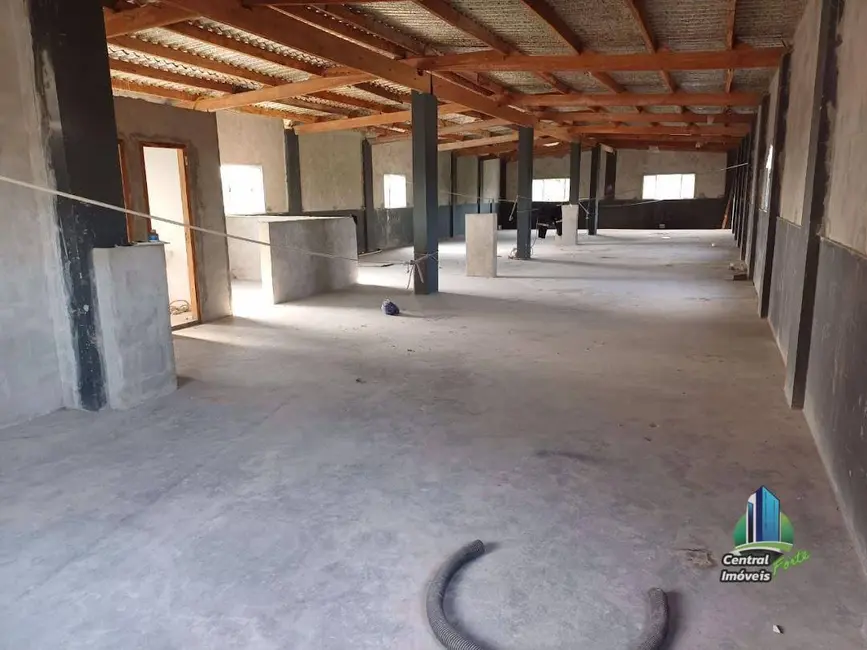 Foto 6 de Armazém / Galpão para alugar, 300m2 em Tupi, Praia Grande - SP