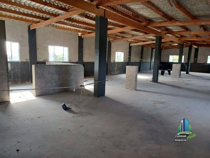 Foto 8 de Armazém / Galpão para alugar, 300m2 em Tupi, Praia Grande - SP