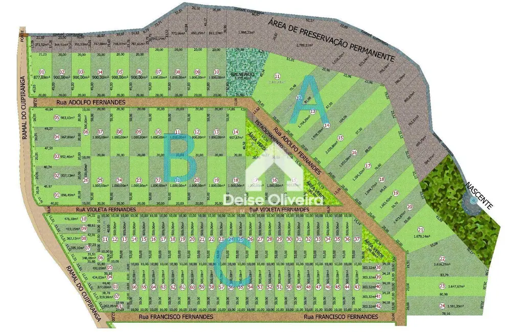 Chácara à venda, 2169m2 em Santarem - PA - imagem 4 Foto 4 de Chácara à venda, 2169m2 em Santarem - PA