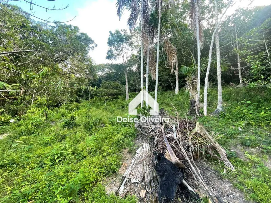 Terreno / Lote à venda, 142800m2 em Mararú, Santarem - PA - imagem 4 Foto 4 de Terreno / Lote à venda, 142800m2 em Mararú, Santarem - PA