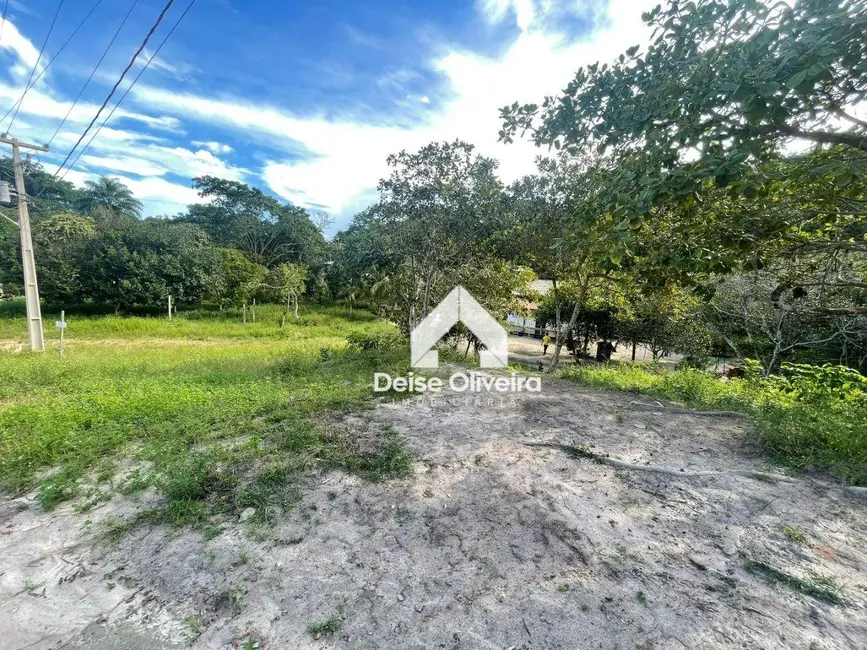 Terreno / Lote à venda, 142800m2 em Mararú, Santarem - PA - imagem 3 Foto 3 de Terreno / Lote à venda, 142800m2 em Mararú, Santarem - PA
