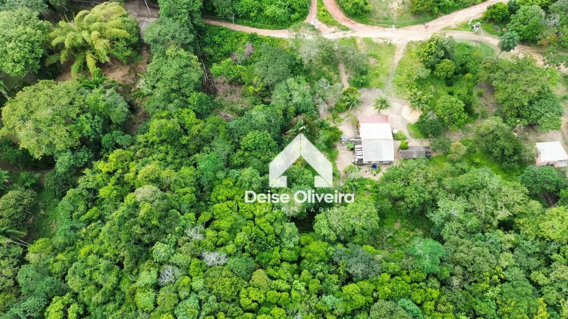 Terreno / Lote à venda, 142800m2 em Mararú, Santarem - PA - imagem 8 Foto 8 de Terreno / Lote à venda, 142800m2 em Mararú, Santarem - PA