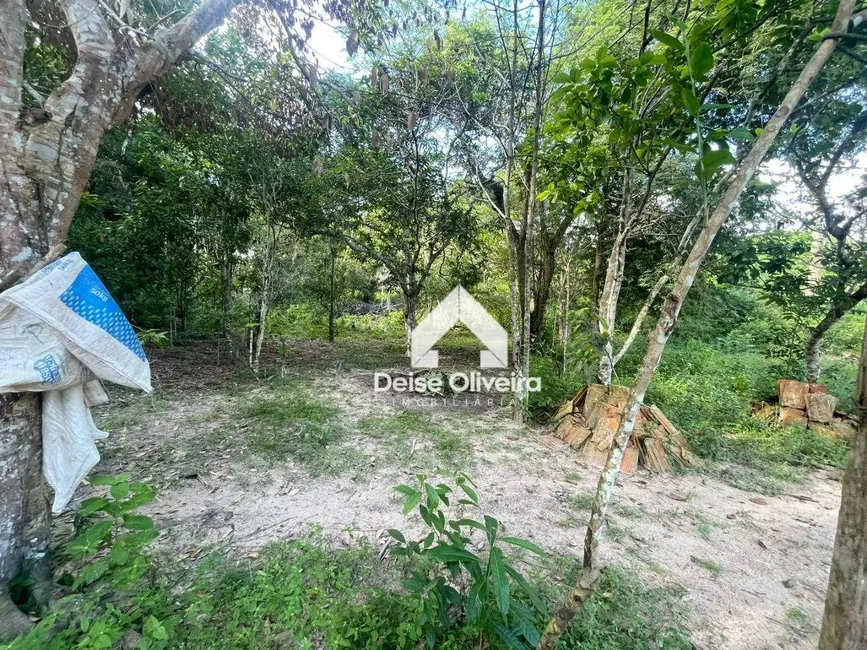Terreno / Lote à venda, 142800m2 em Mararú, Santarem - PA - imagem 6 Foto 6 de Terreno / Lote à venda, 142800m2 em Mararú, Santarem - PA