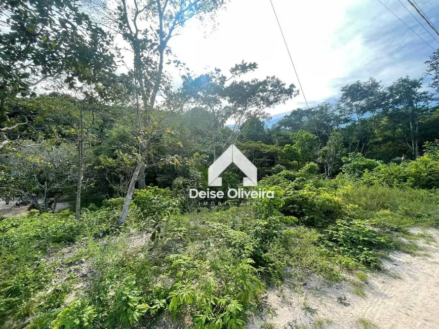 Terreno / Lote à venda, 142800m2 em Mararú, Santarem - PA - imagem 5 Foto 5 de Terreno / Lote à venda, 142800m2 em Mararú, Santarem - PA