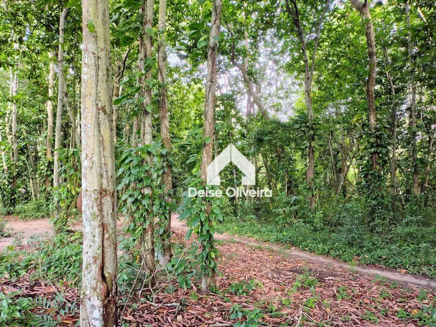 Foto 5 de Terreno / Lote à venda, 6500m2 em Santarem - PA