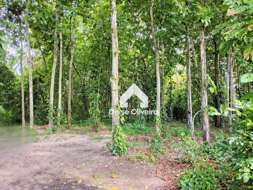 Foto 2 de Terreno / Lote à venda, 6500m2 em Santarem - PA