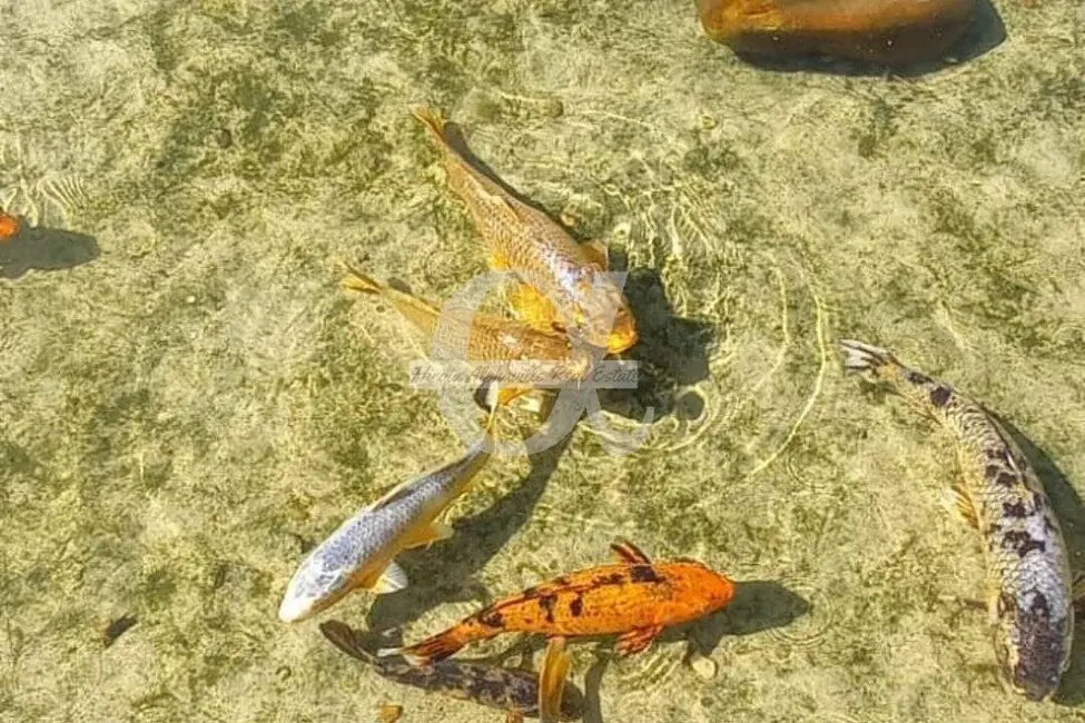 Foto 9 de Lote de Condomínio à venda, 360m2 em Alphaville, Santana De Parnaiba - SP