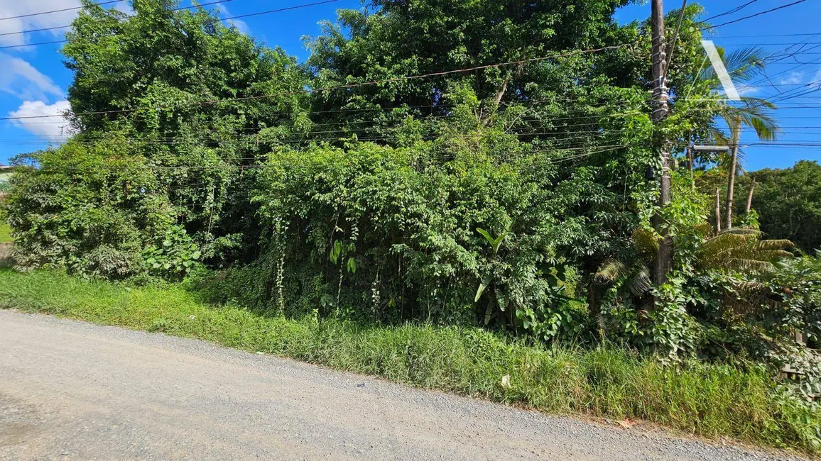 Terreno / Lote à venda, 2672m2 em Itinga, Joinville - SC - imagem 7 Foto 7 de Terreno / Lote à venda, 2672m2 em Itinga, Joinville - SC