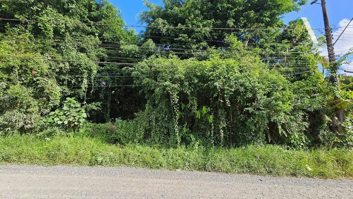 Terreno / Lote à venda, 2672m2 em Itinga, Joinville - SC - imagem 6 Foto 6 de Terreno / Lote à venda, 2672m2 em Itinga, Joinville - SC