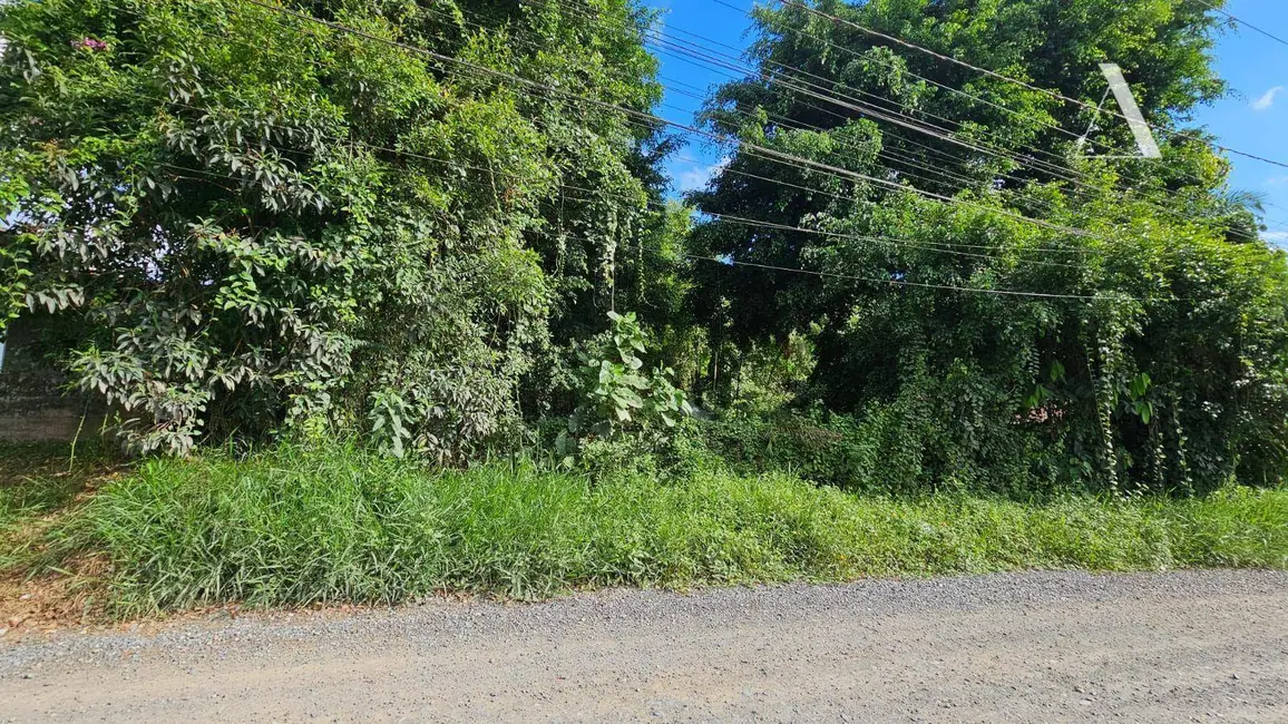 Terreno / Lote à venda, 2672m2 em Itinga, Joinville - SC - imagem 5 Foto 5 de Terreno / Lote à venda, 2672m2 em Itinga, Joinville - SC