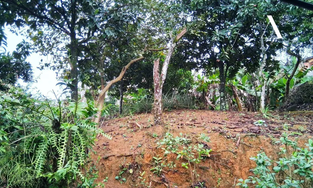 Foto 8 de Casa com 3 quartos à venda, 819m2 em João Costa, Joinville - SC