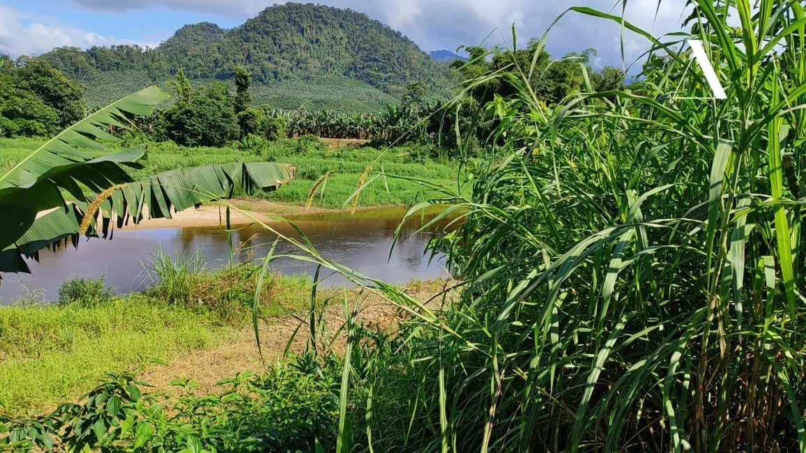 Foto 4 de Terreno / Lote à venda, 5000m2 em Garuva - SC