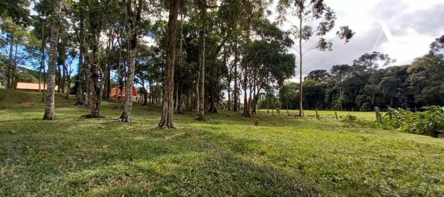 Foto 9 de Sítio / Rancho com 3 quartos à venda, 57741m2 em Campo Alegre - SC