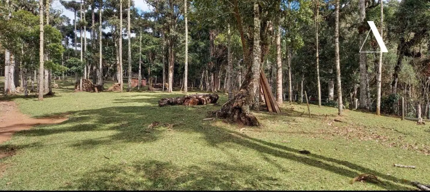 Foto 8 de Sítio / Rancho com 3 quartos à venda, 57741m2 em Campo Alegre - SC