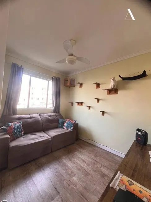 Apartamento com 3 quartos à venda, 73m2 em João Costa, Joinville - SC - imagem 3 Foto 3 de Apartamento com 3 quartos à venda, 73m2 em João Costa, Joinville - SC