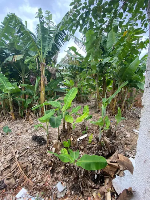 Foto 3 de Terreno / Lote à venda, 412m2 em Santa Felicidade, Cascavel - PR