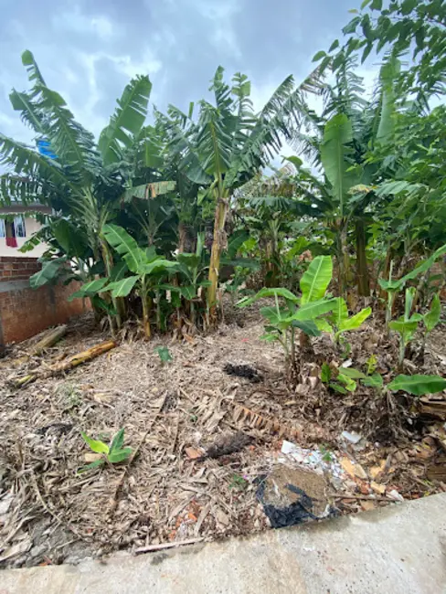 Foto 4 de Terreno / Lote à venda, 412m2 em Santa Felicidade, Cascavel - PR