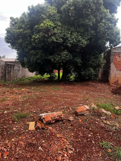 Foto 4 de Terreno / Lote à venda, 585m2 em Santa Cruz, Cascavel - PR