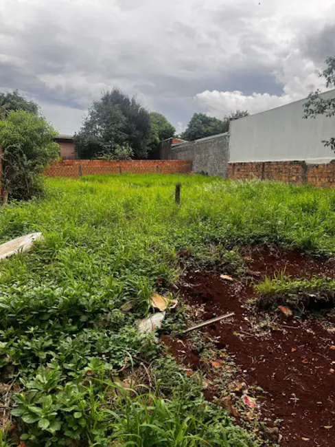 Foto 5 de Terreno / Lote à venda, 585m2 em Santa Cruz, Cascavel - PR