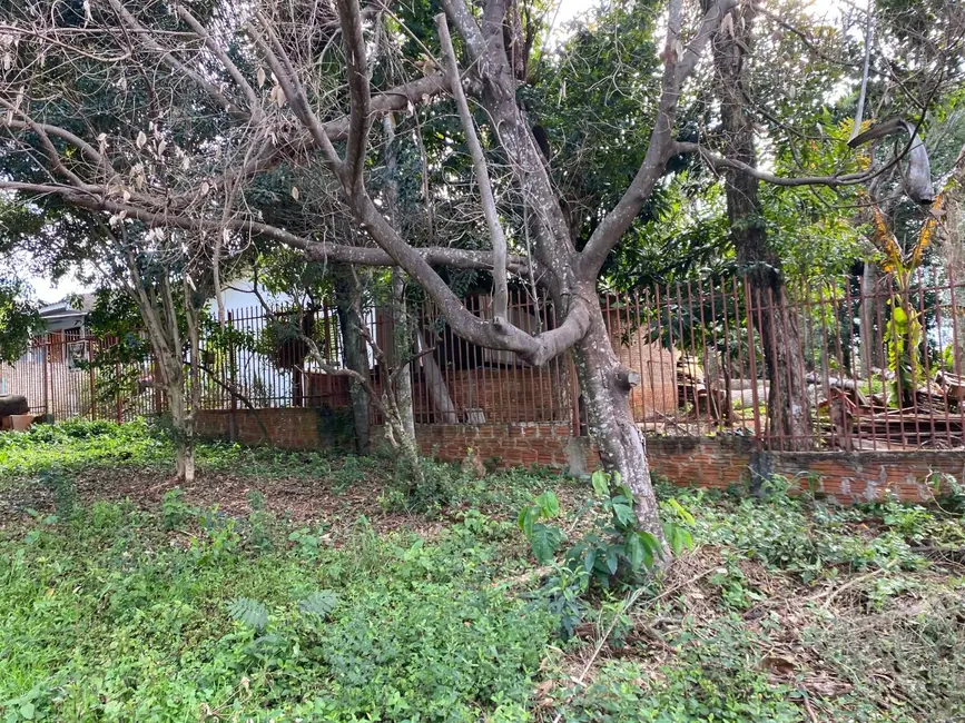 Foto 5 de Terreno / Lote à venda, 10000m2 em Universitário, Cascavel - PR