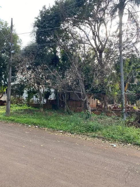 Foto 4 de Terreno / Lote à venda, 10000m2 em Universitário, Cascavel - PR