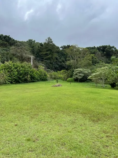 Foto 7 de Chácara à venda, 3085m2 em Cascavel - PR