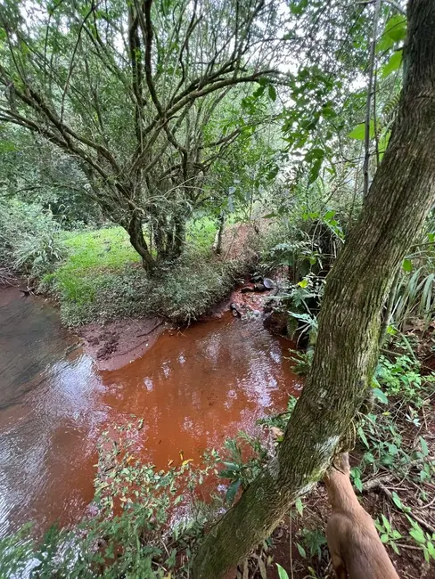 Foto 8 de Chácara à venda, 3085m2 em Cascavel - PR
