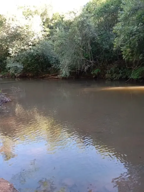 Foto 3 de Chácara com 6 quartos à venda, 12100m2 em Cascavel Velho, Cascavel - PR