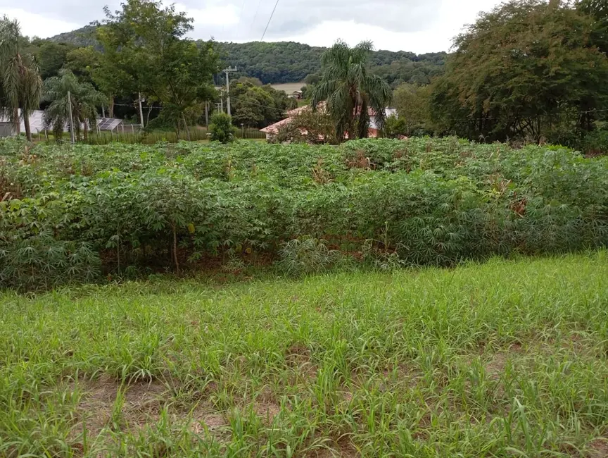 Foto 1 de Chácara com 6 quartos à venda, 12100m2 em Cascavel Velho, Cascavel - PR